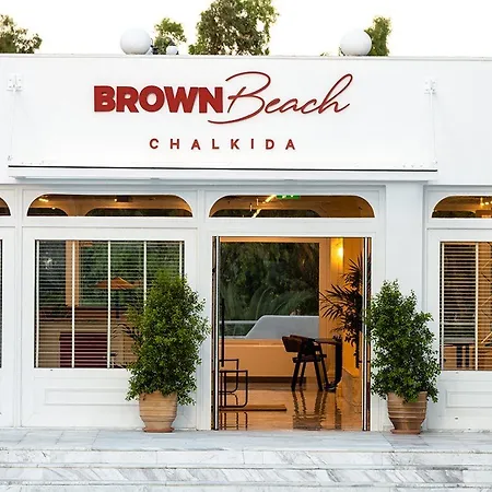 Brown Chalkida